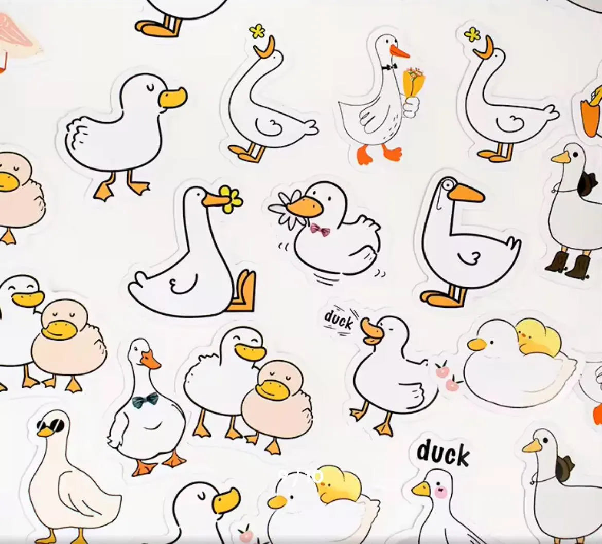 Duck sticker box