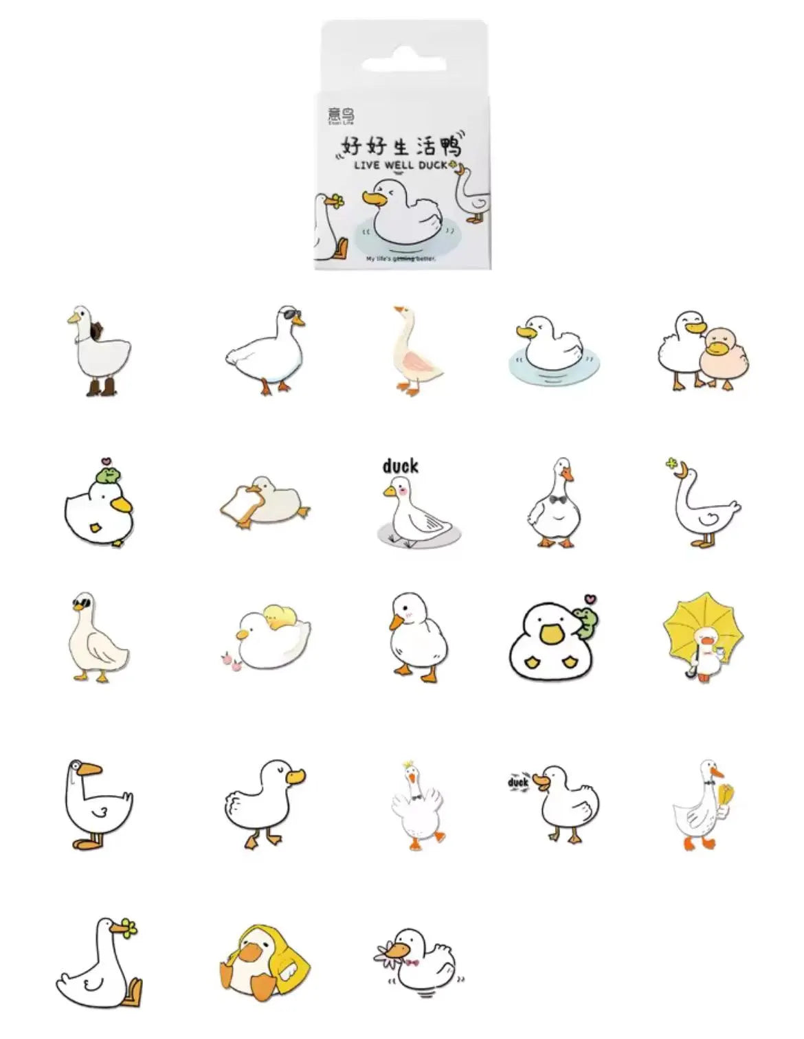 Duck sticker box