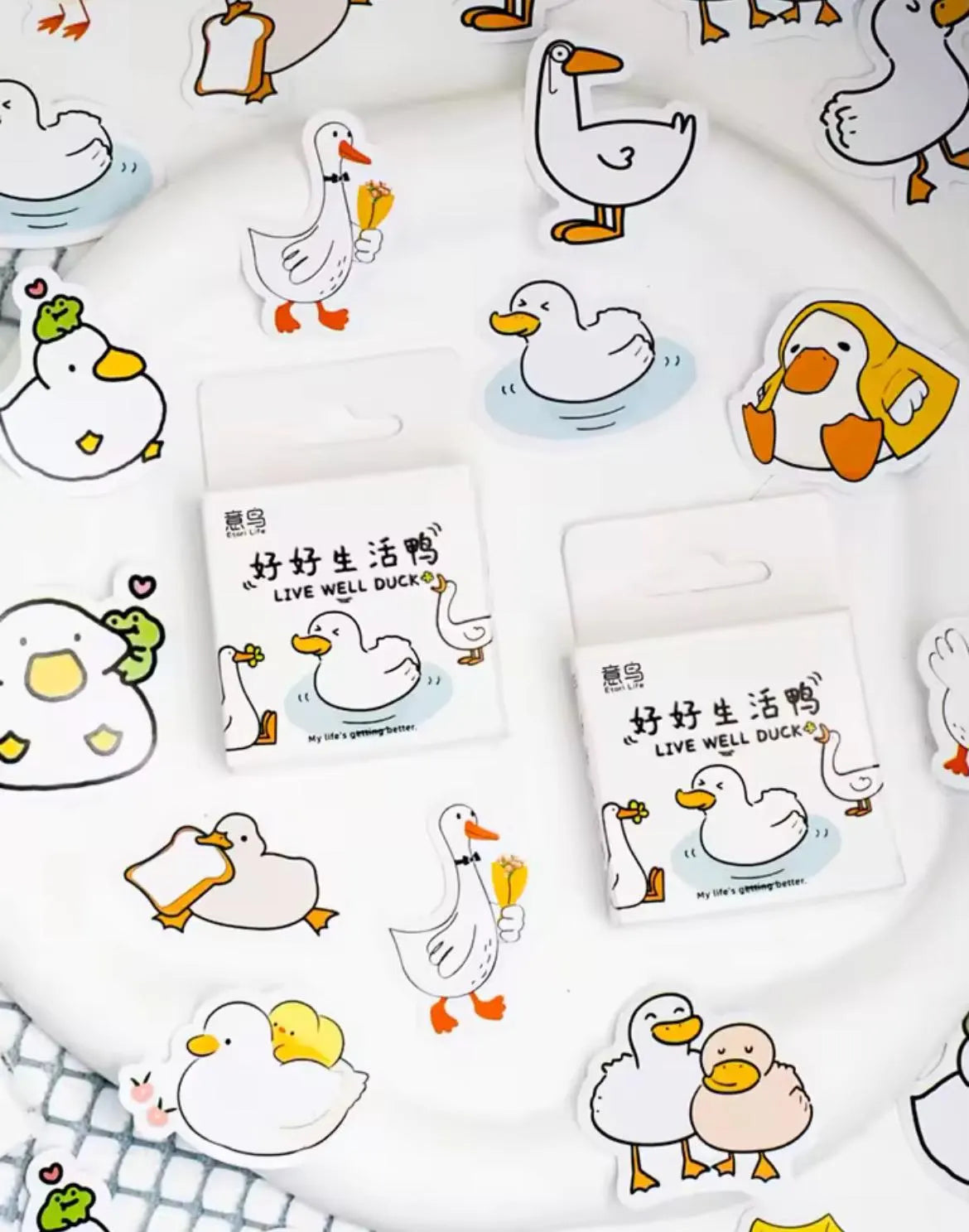 Duck sticker box