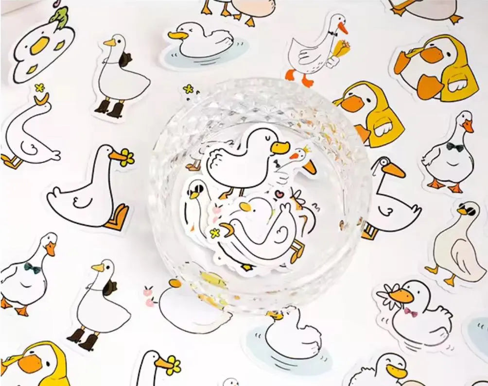 Duck sticker box