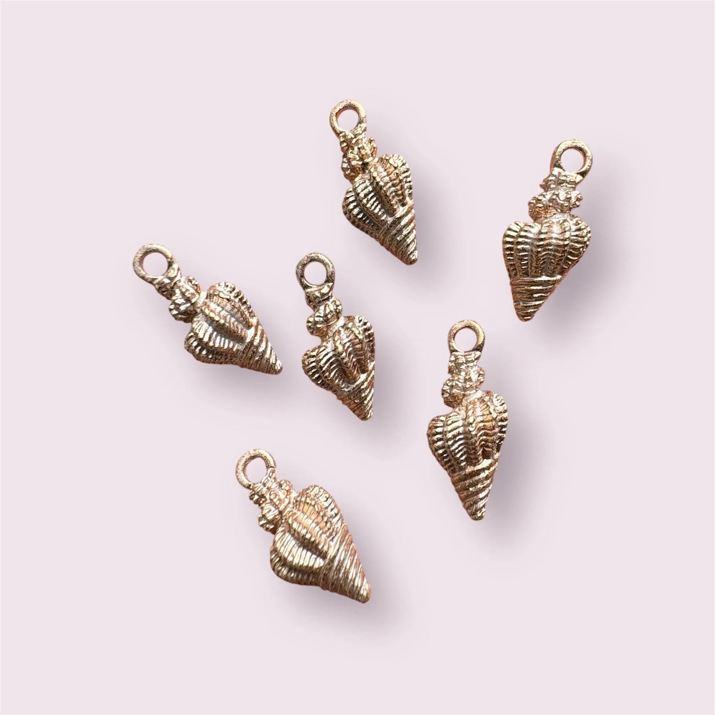 Spiral shell charm, 19mm