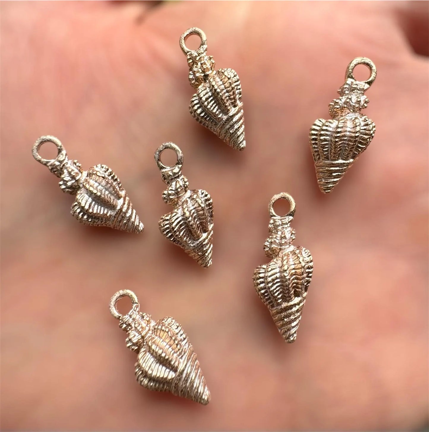 Spiral shell charm, 19mm
