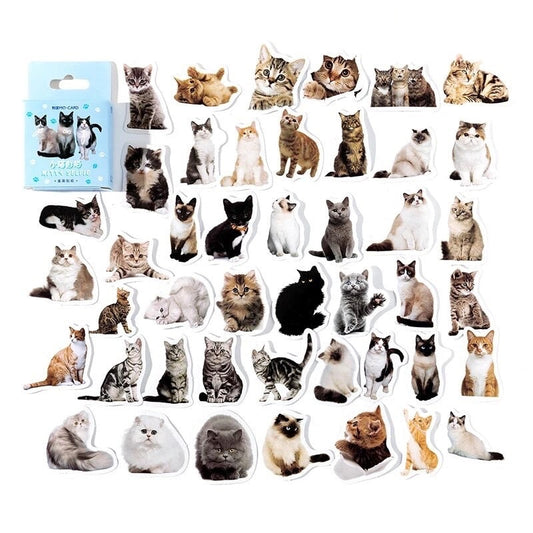 Cat stickers, paper craft stickers