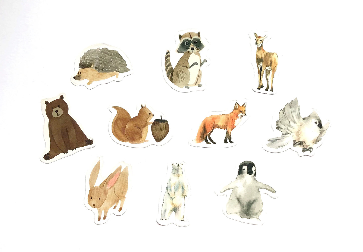 Animal paper stickers box