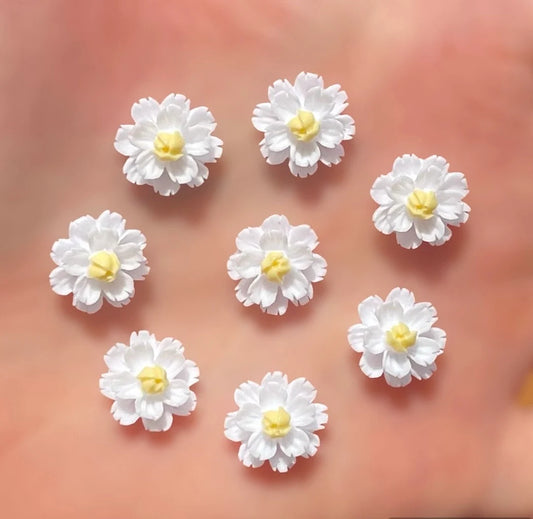 White flower cabochons, yellow centre 13mm
