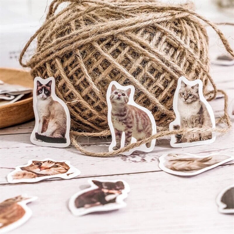 Cat stickers, paper craft stickers