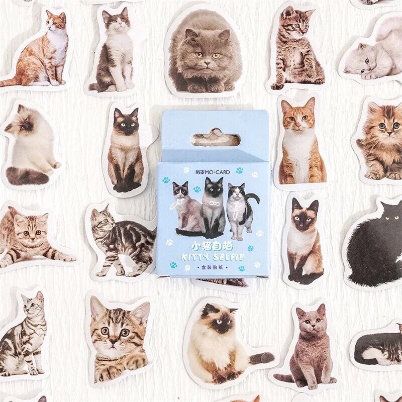 Cat stickers, paper craft stickers