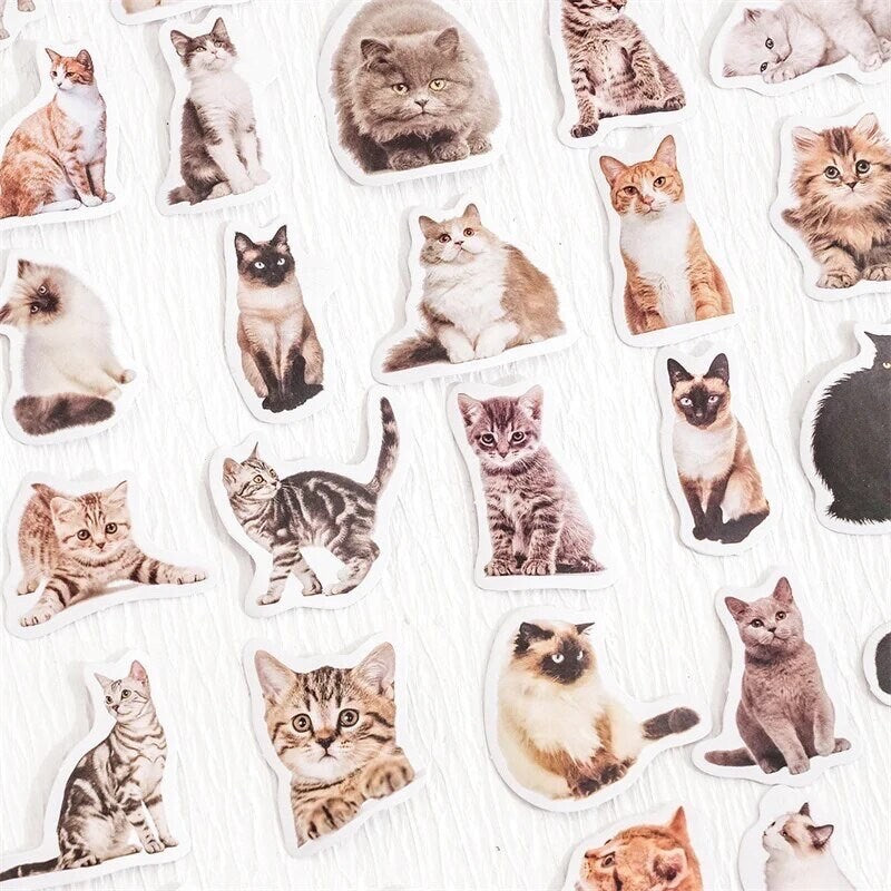 Cat stickers, paper craft stickers